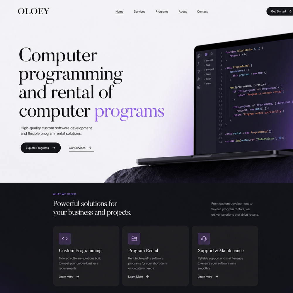 Computer programming and rental of computer programs Computer programming and rental of computer programs