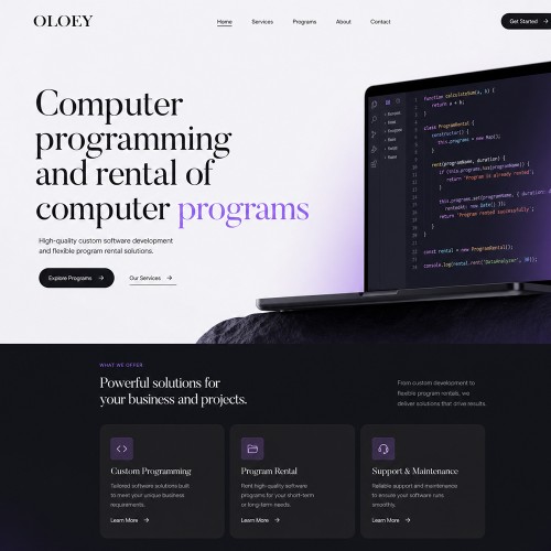 Computer programming and rental of computer programs Computer programming and rental of computer programs