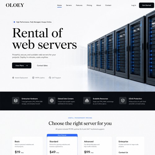 Rental of web servers Rental of web servers