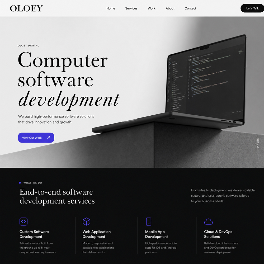 Computer software development Computer software development