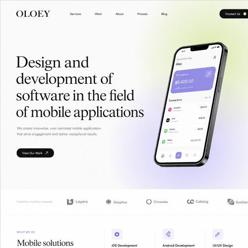 Design and development of software in the field of mobile applications Design and development of software in the field of mobile applications